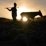 Cum arată primul videoclip de promovare al României, realizat pentru BBC – VIDEO