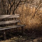Bătaie între pensionari, într-un parc din Timișoara: unul a fost înjunghiat 