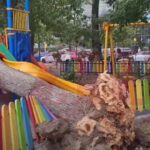 La un pas de TRAGEDIE! Copac doborât de vânt peste un loc de joacă, în Constanța VIDEO