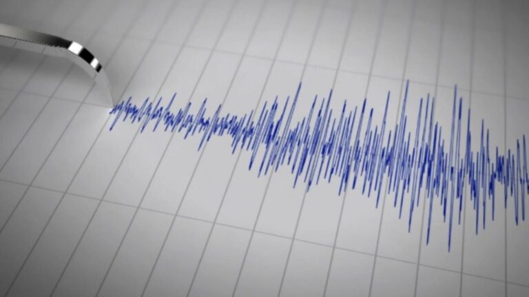 Cutremur în România – Zona Vrancea, scuturată de un seism semnificativ, vineri