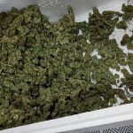 Un francez având asupra lui 300 de grame de canabis a fost arestat la vama Petea din Satu Mare