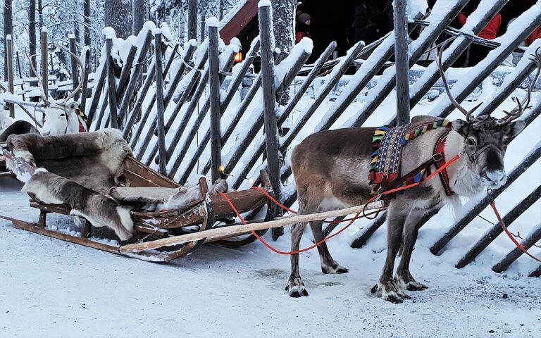 Pachete cu zbor direct către Laponia. Șase chartere vor duce turiștii către țara lui Moș Crăciun în preajma sărbătorilor de iarnă