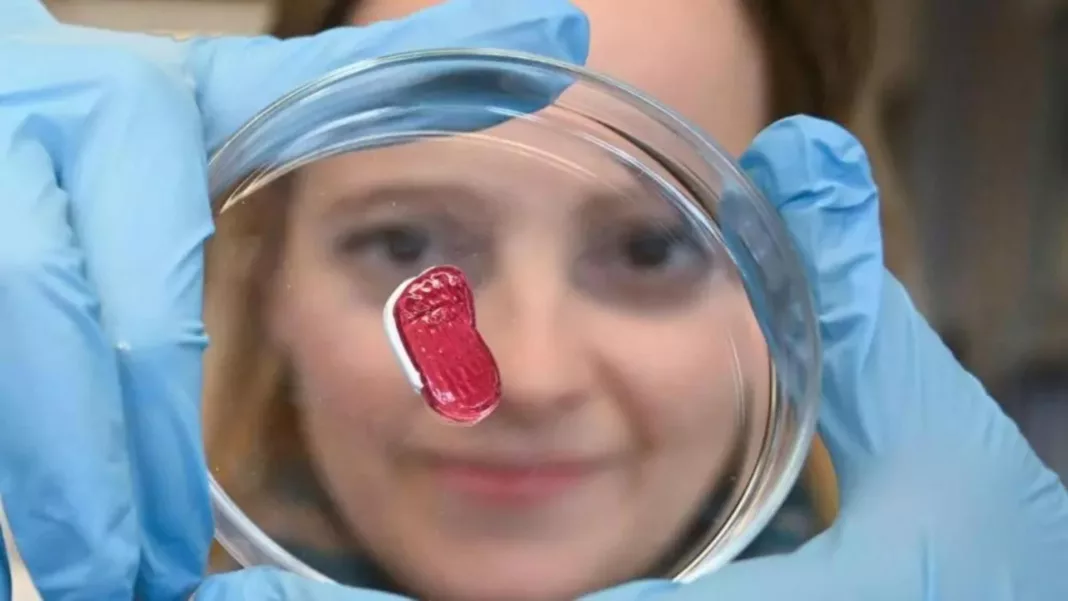 Laboratory-grown meat in petri dish
