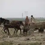 Un sfert din investițiile cu bani UE din satele și comunele din România nu au finalizat proiectele cu doar o lună înainte de închiderea PNDR