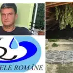 Vătaful „Apelor Române”, Sorin Lucaci, a îngropat scandalul canabisului de lângă Timișoara