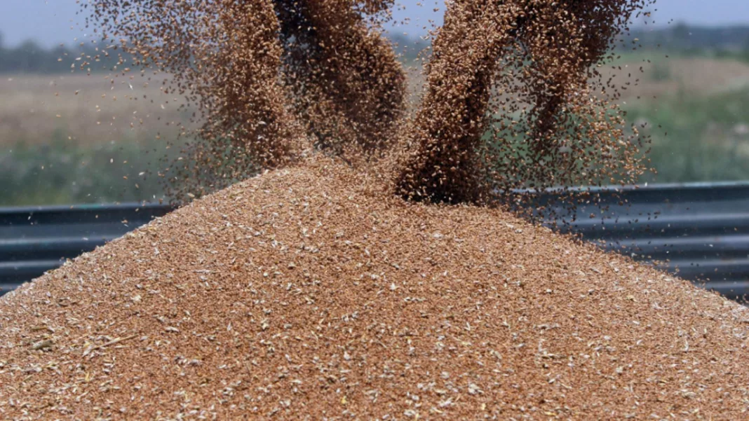 Ucraina recolta cereale 2023