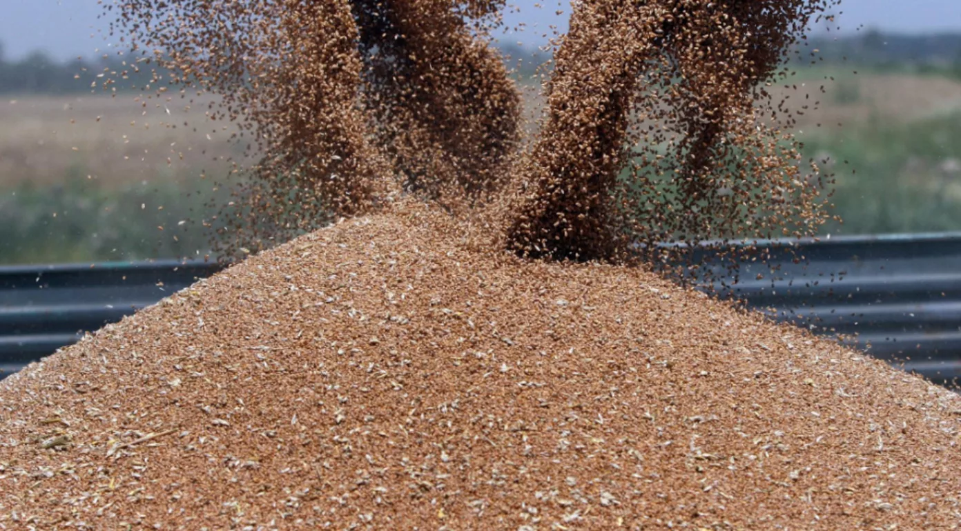 Cehia, Polonia și cele trei state baltice vor ca UE să impună un embargo asupra cerealelor din Rusia și Belarus