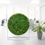 Pereții verzi cu plante stabilizate, cel mai nou trend în materie de design interior