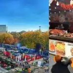 Cum s-a transformat Indagra în ultimii ani. Pe bani mulți