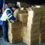Vameșii demarează operațiunea „Pinocchio”