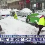 Viscolele neobișnuite au lovit nord-estul Chinei