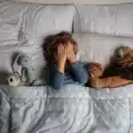 5 motive să alegi lenjerie de pat cocolino pentru copilul tău