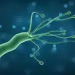 Bacteria din stomac care mărește riscul de Alzheimer