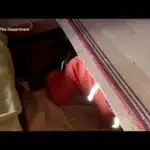VIDEO. Japonia. O bătrână aflată sub o casă prăbușită a fost salvată