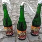 Un tânăr de 18 ani a fost arestat preventiv pentru un atac cu coktail Molotov în Ilfov