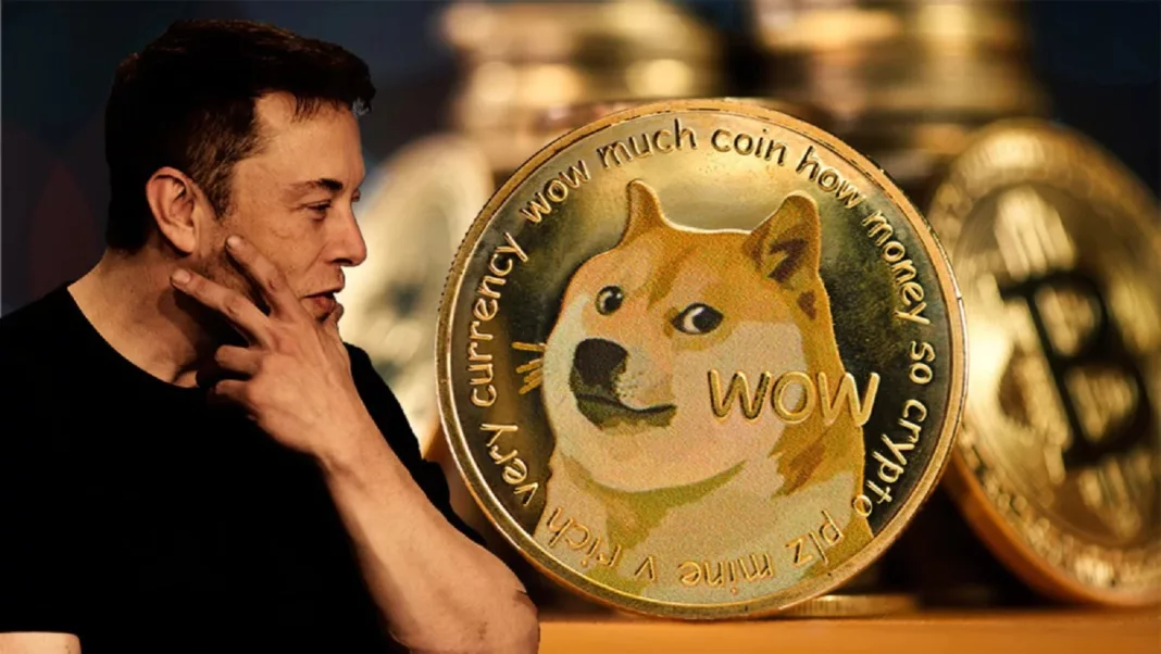 Elon-Musk-Dogecoin kabosu