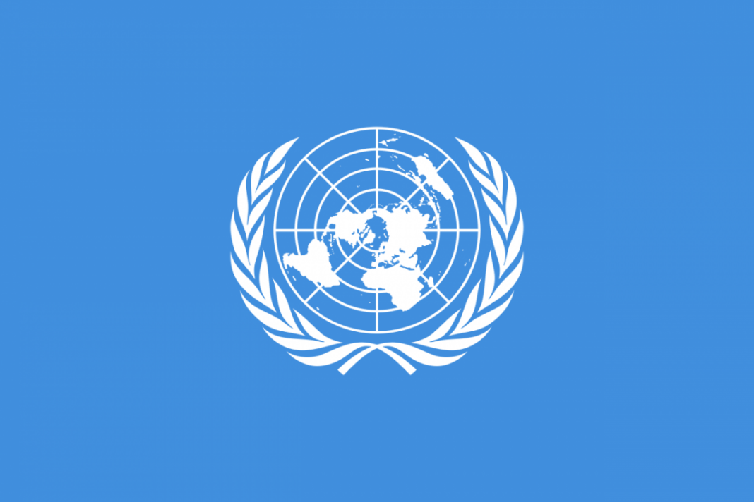 ONU despre gropi comune Gaza