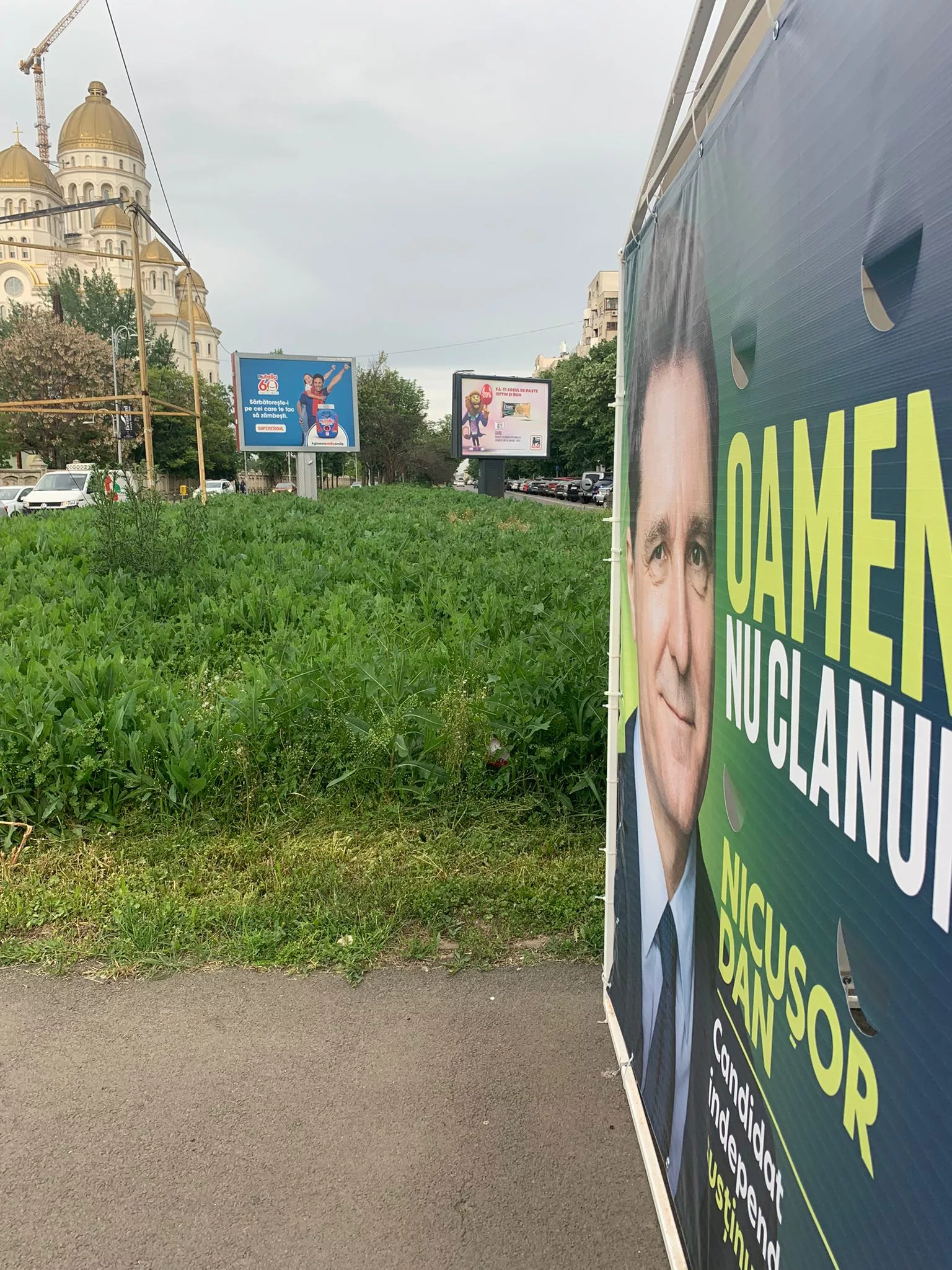 Banner de campanie al lui Nicușor Dan, lângă bălării de peste 1 m înălțime. FOTO