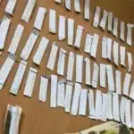 17 percheziții domiciliare pe raza județului Satu Mare efectuate de DIICOT