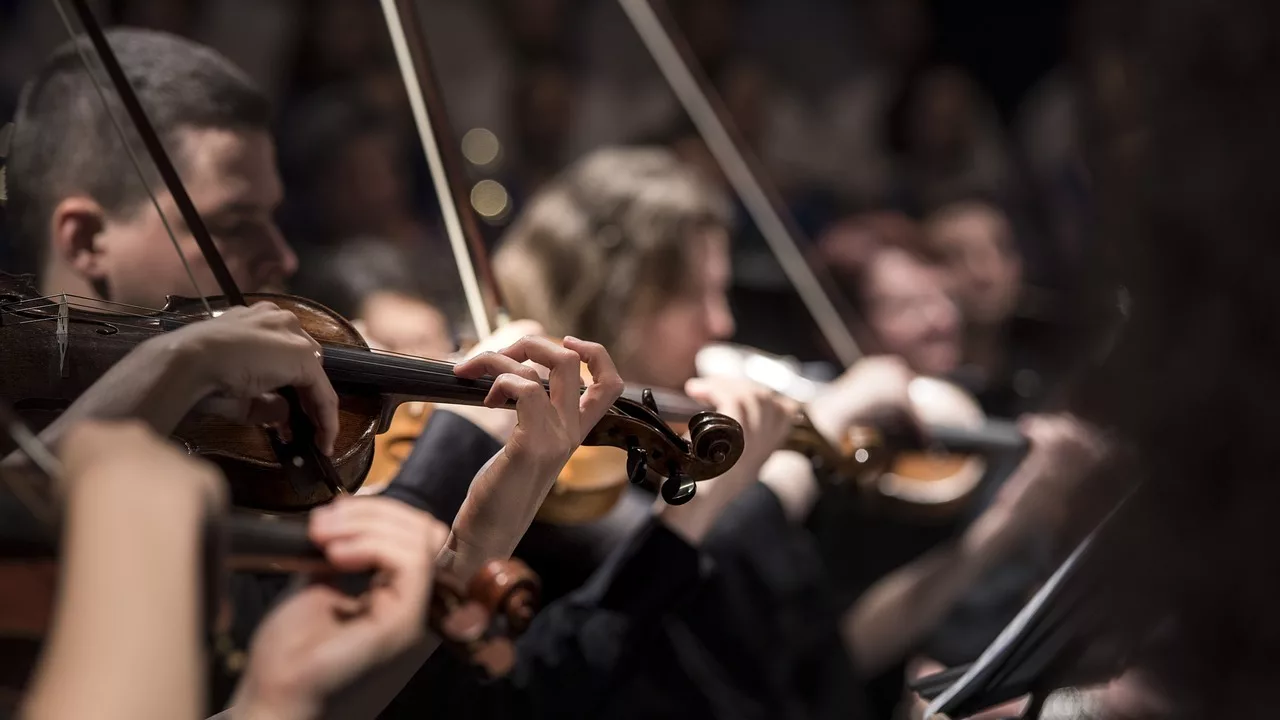 Un concert al unei orchestre din Hamburg a fost întrerupt de o mașină de spălat