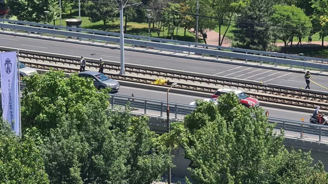 Autostradă urbană aglomerată, mașini și vegetație densă.