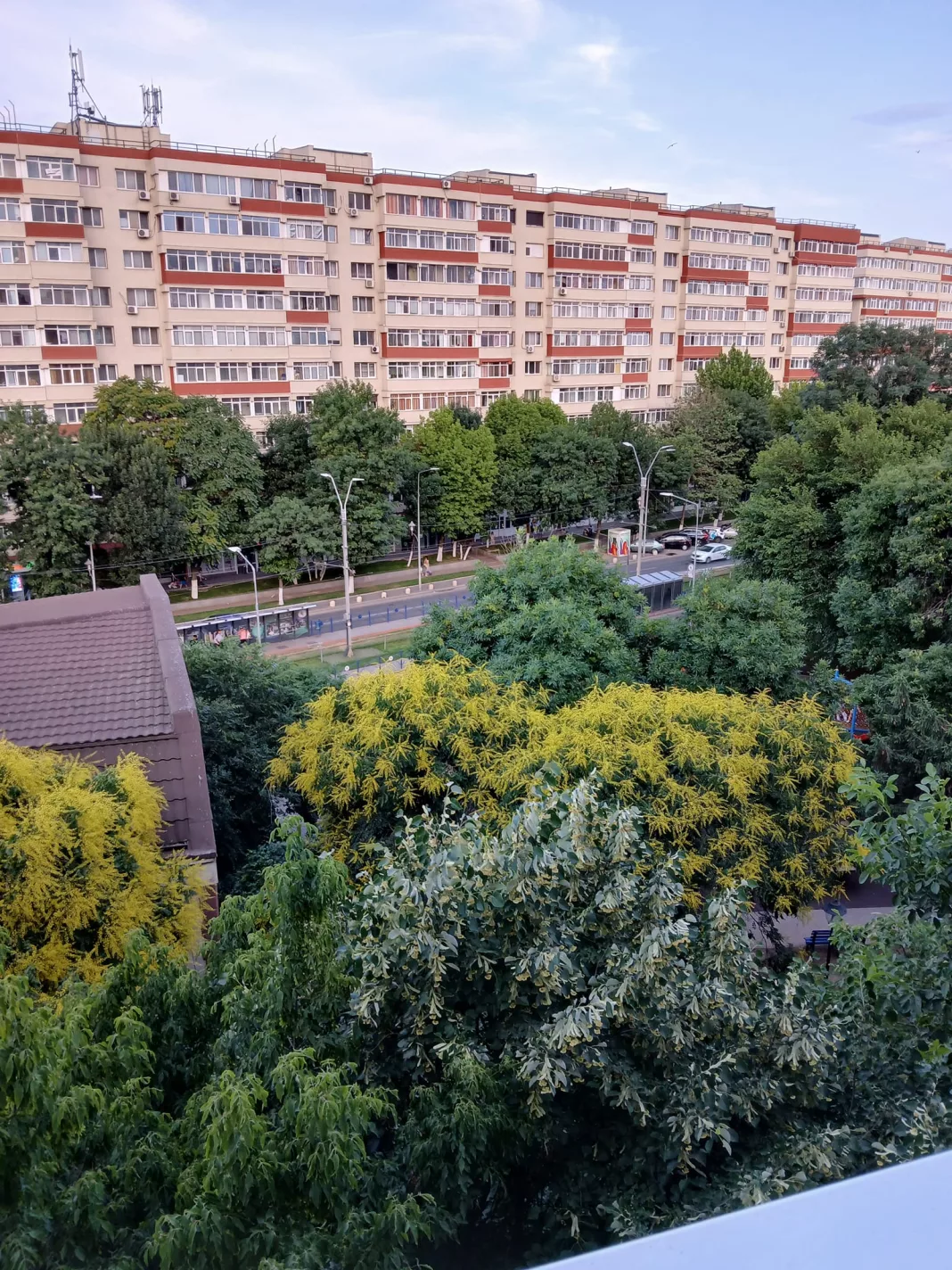 Peisaj urban cu cladiri înalte și copaci verzi