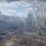 Neamț: Un bărbat a murit în incendiul pe care chiar el l-a provocat