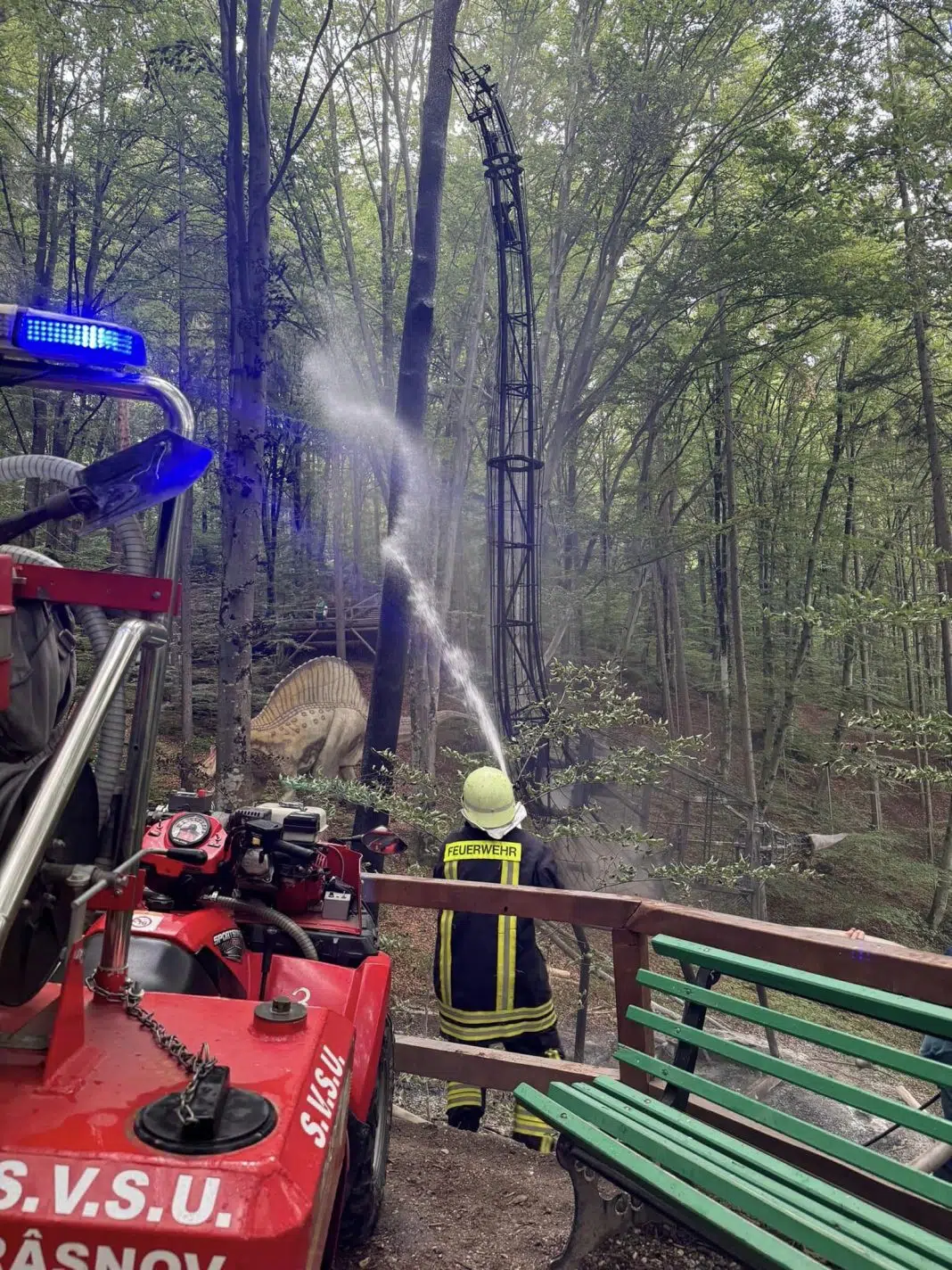 Pompier stinge incendiu în pădure, jet de apă vizibil