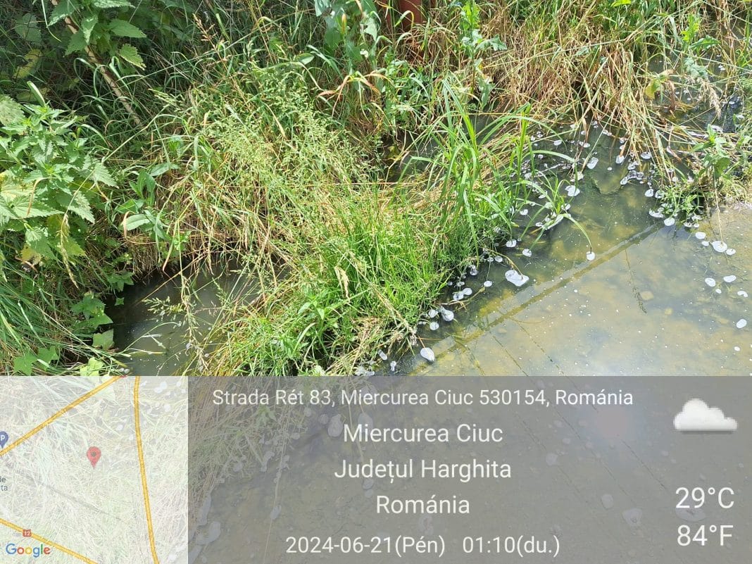 Peisaj natural în Miercurea Ciuc, România