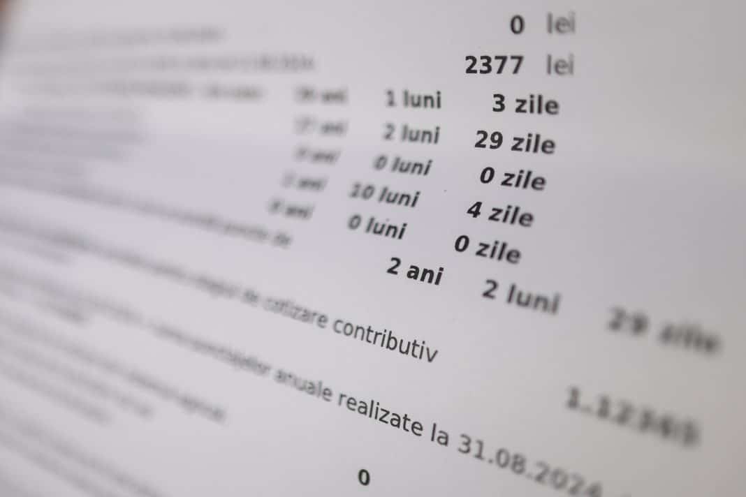 Document cu statistici contribuții în lei