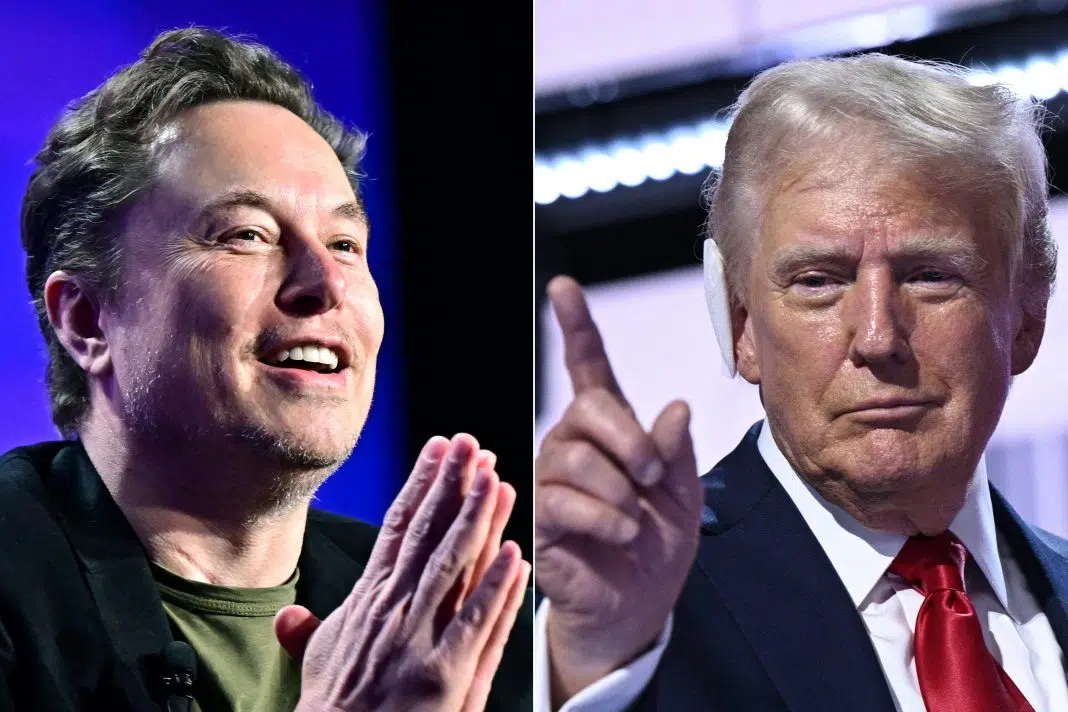 Musk si Trump colaj