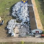 Timpul bombelor ecologice: 600 de tone de deșeuri periculoase depozitate în aer liber