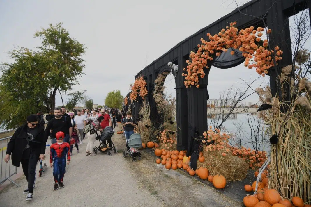 Festival toamna cu dovleci și decor tematic Halloween