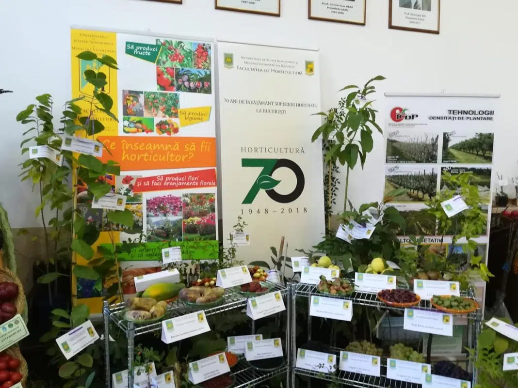 Expoziție de fructe și plante la eveniment horticol