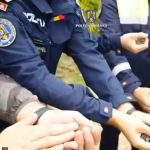 70 de păsări din specii protejate, eliberate de polițiști. Erau ținute în captivitate și oferite spre vânzare