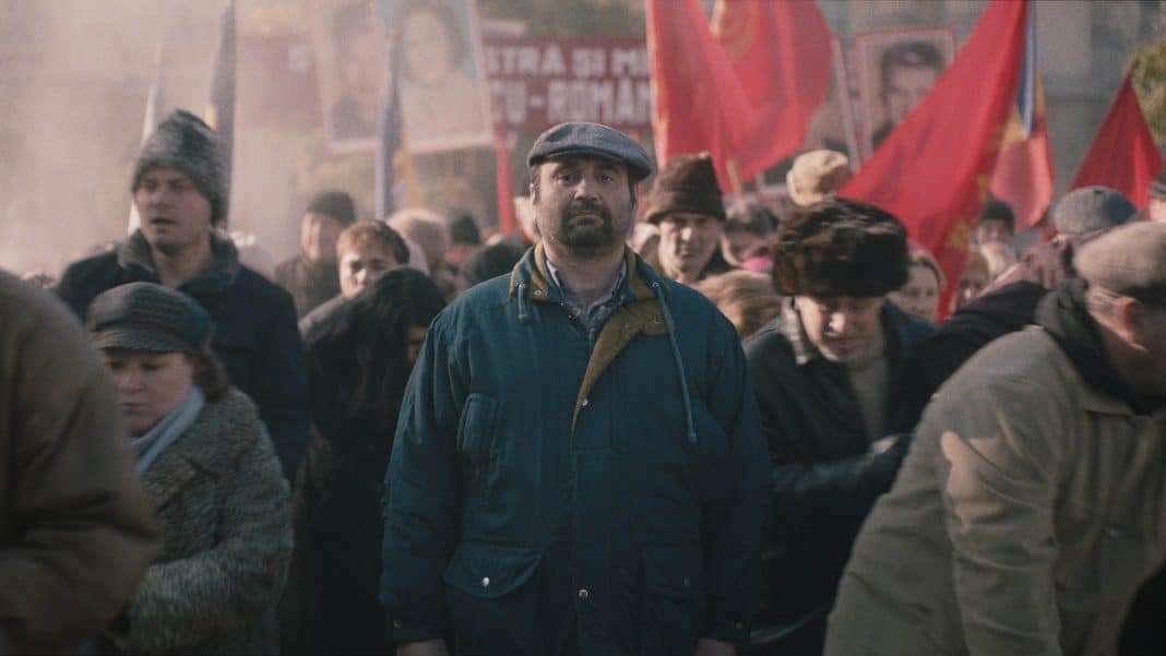 anul nou care n a fost, proiectat la festivalul de film de la haifa