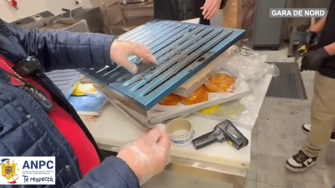 anpc piedone gara de nord