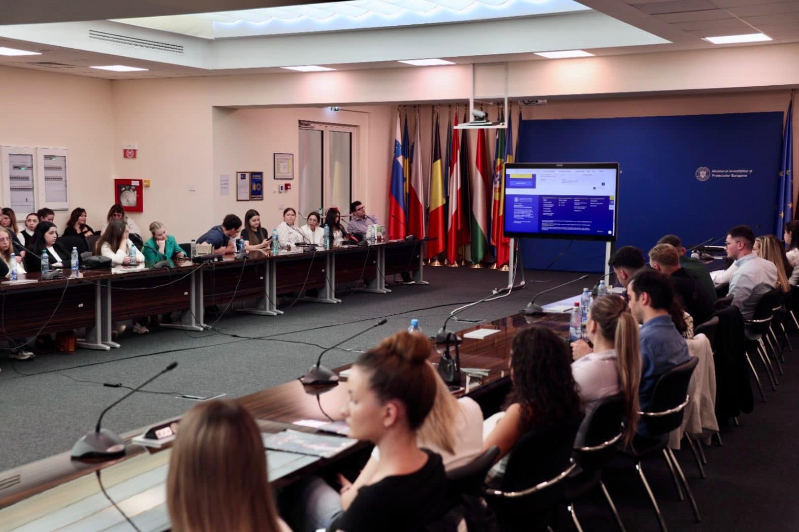 Grevă japoneză la Ministerul Investițiilor și Proiectelor Europene