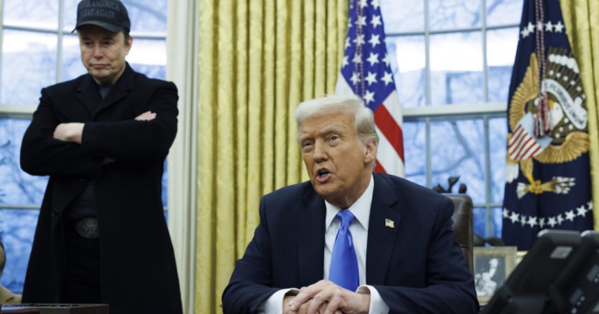 Elon Musk critici Donald Trump