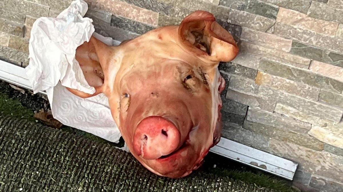 capete porc moschei paris